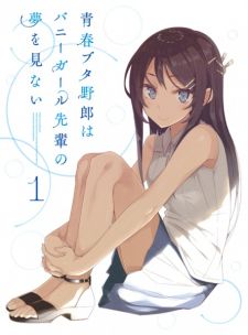 Seishun Buta Yarou wa Bunny Girl Senpai no Yume wo Minai - Sakurajima –  InsiderJoy